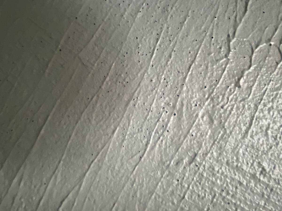 Eleven pinholes, and none visible from the doorway